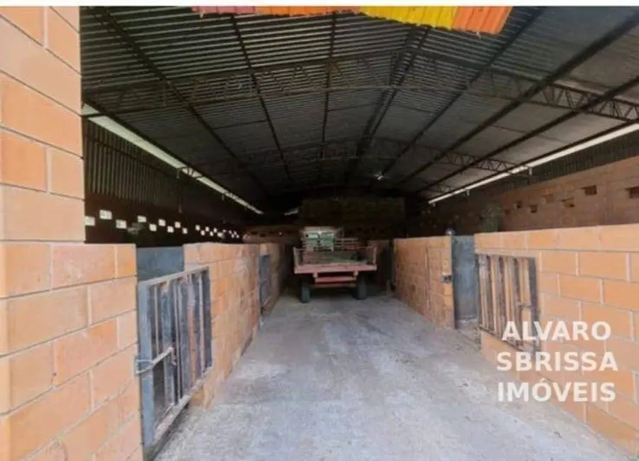 Fazenda / Haras com 3 quartos à venda, 798600m2 em Porto Feliz - SP - imagem 8 Foto 8 de Fazenda / Haras com 3 quartos à venda, 798600m2 em Porto Feliz - SP