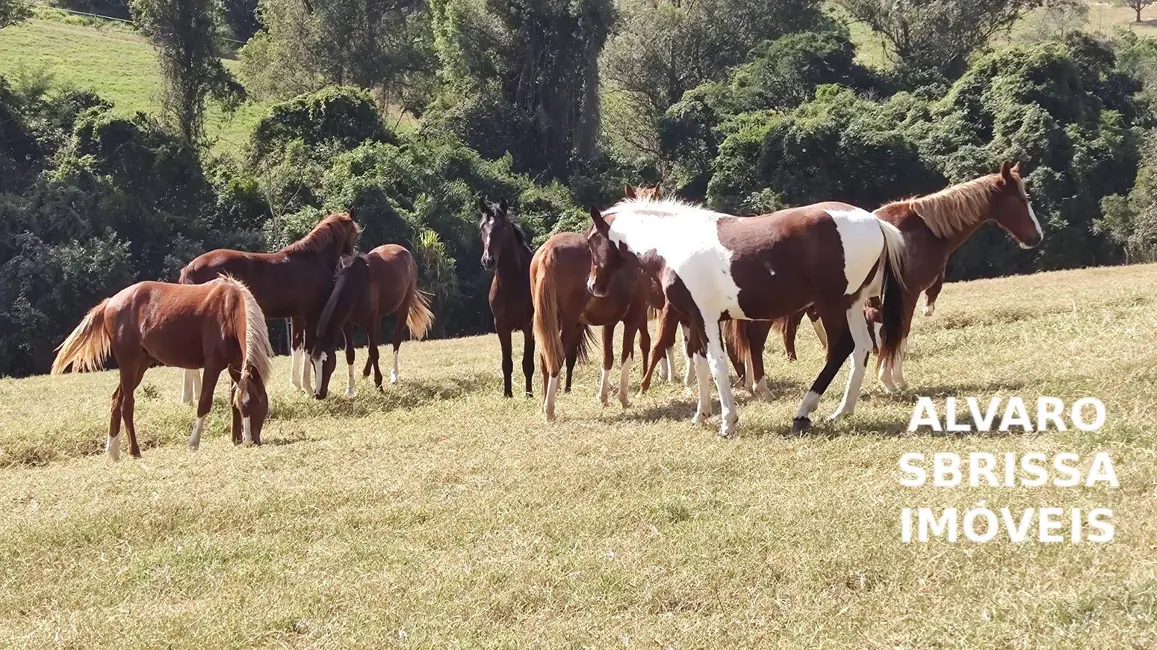 Foto 8 de Fazenda / Haras com 2 quartos à venda, 150000m2 em Jardim Oliveira, Itu - SP