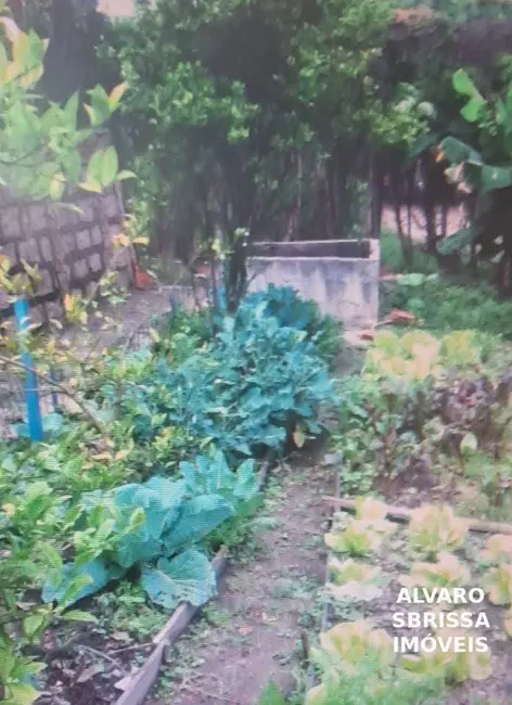 Foto 5 de Chácara com 3 quartos à venda, 2519m2 em Residencial Sete Quedas, Itu - SP