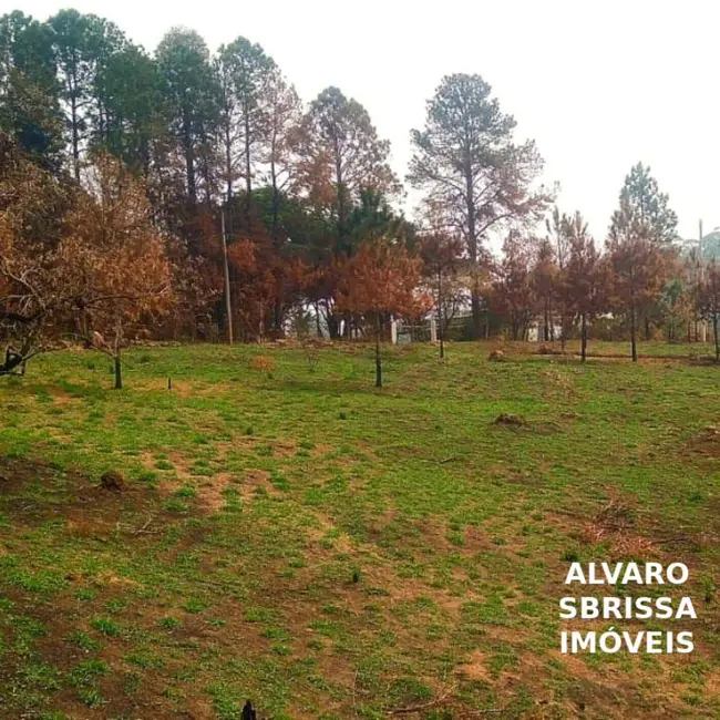 Foto 4 de Sítio / Rancho com 1 quarto à venda, 141481m2 em Itu - SP
