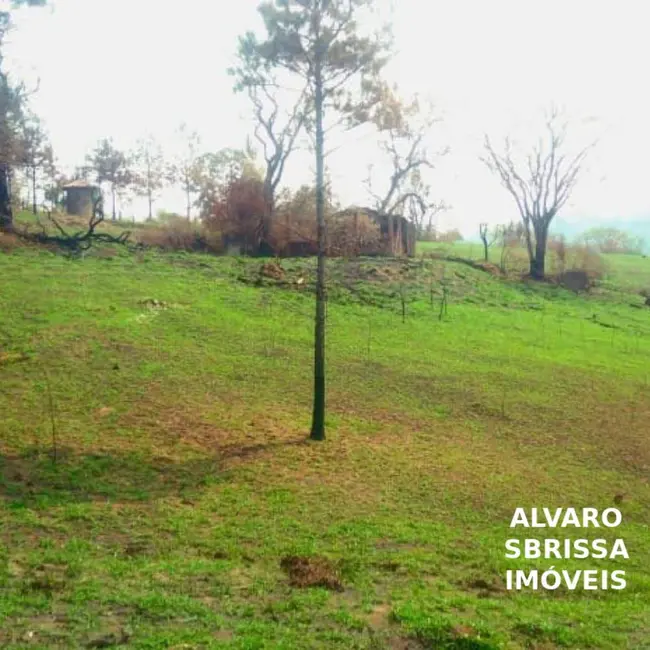Foto 6 de Sítio / Rancho com 1 quarto à venda, 141481m2 em Itu - SP