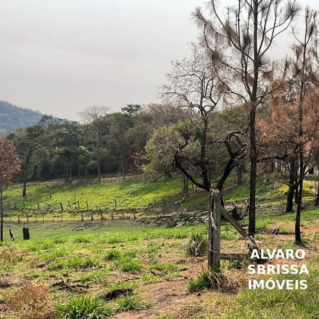 Foto 5 de Sítio / Rancho com 1 quarto à venda, 141481m2 em Itu - SP