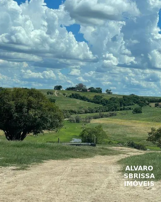 Foto 5 de Fazenda / Haras com 3 quartos à venda, 968000m2 em Porto Feliz - SP