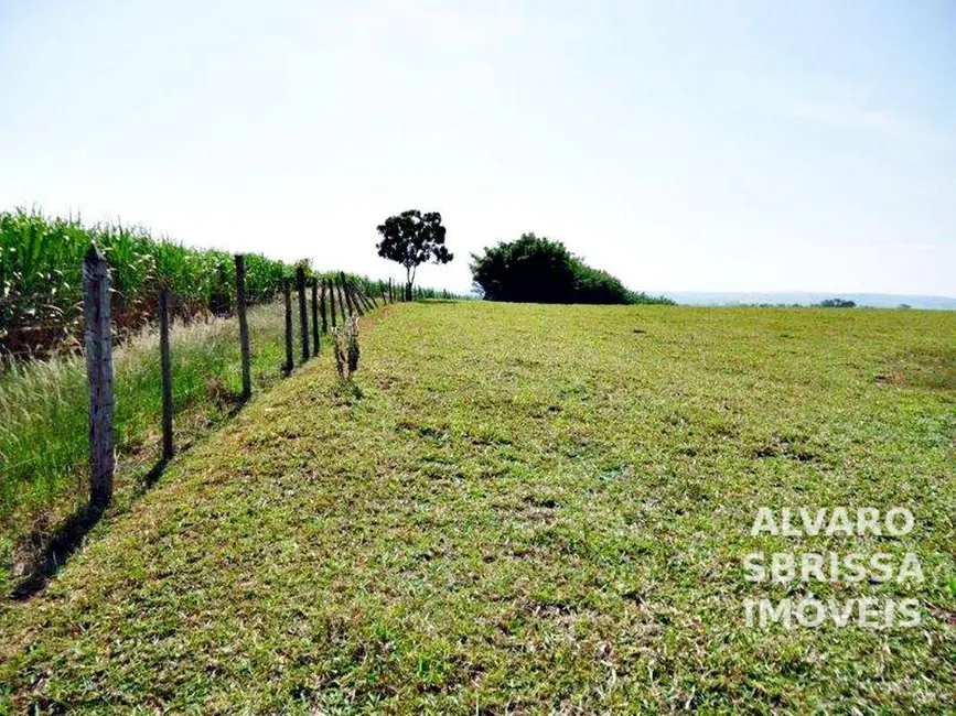 Foto 8 de Sala Comercial à venda, 139585m2 em Porto Feliz - SP