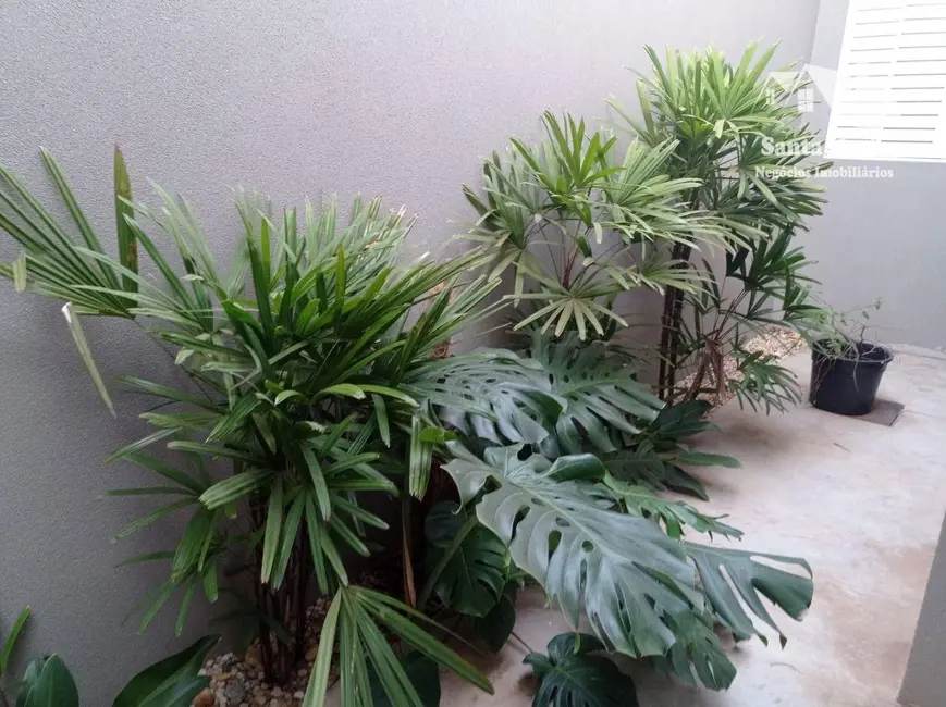 Foto 7 de Casa com 3 quartos à venda, 372m2 em Residencial Esther, Votuporanga - SP