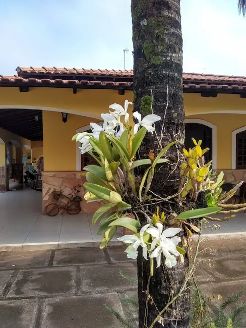 Foto 7 de Chácara com 6 quartos à venda, 3800m2 em Piraju - SP