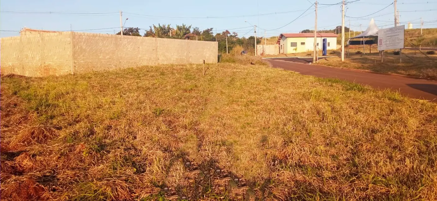 Foto 2 de Terreno / Lote à venda, 252m2 em Piraju - SP