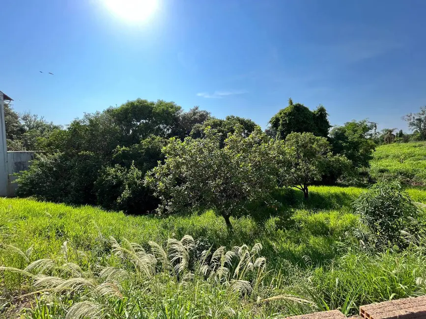 Foto 3 de Terreno / Lote à venda, 311m2 em Piraju - SP