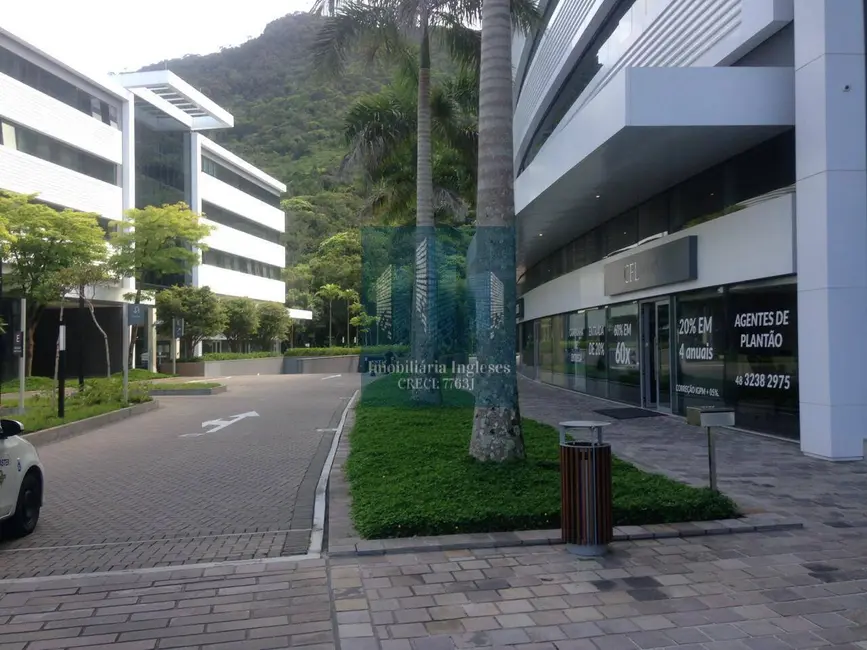 Foto 1 de Sala Comercial para alugar, 46m2 em Saco Grande, Florianopolis - SC