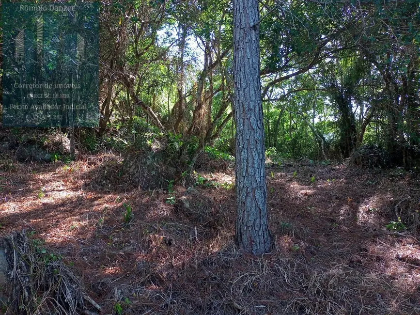 Foto 4 de Chácara à venda, 1575m2 em Ratones, Florianopolis - SC