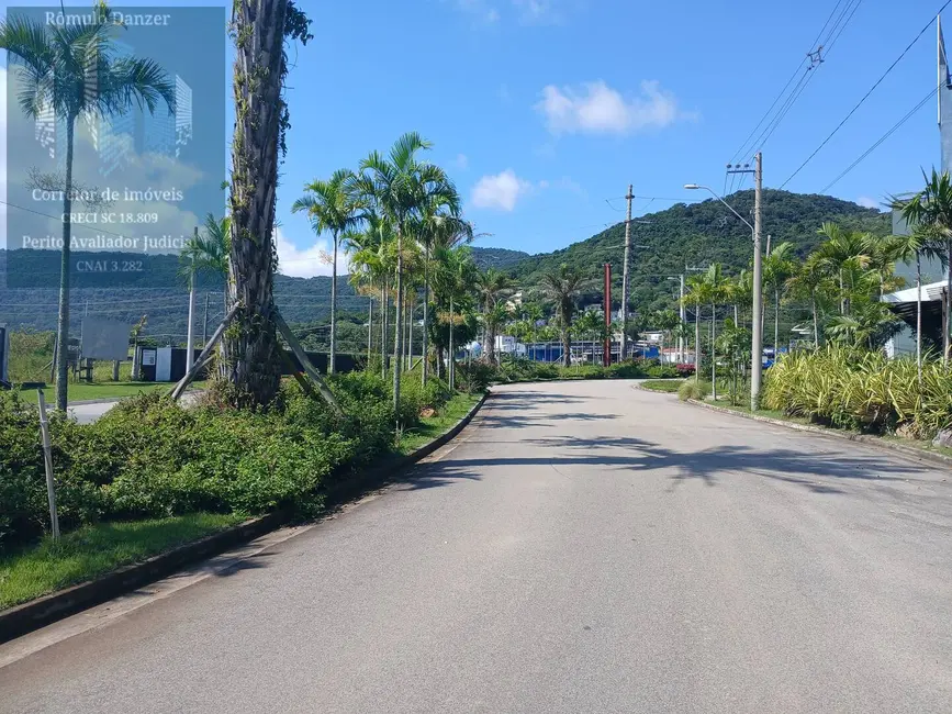 Foto 6 de Terreno / Lote à venda em Ingleses do Rio Vermelho, Florianopolis - SC