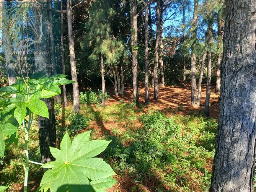 Foto 5 de Terreno / Lote à venda, 896m2 em São João do Rio Vermelho, Florianopolis - SC