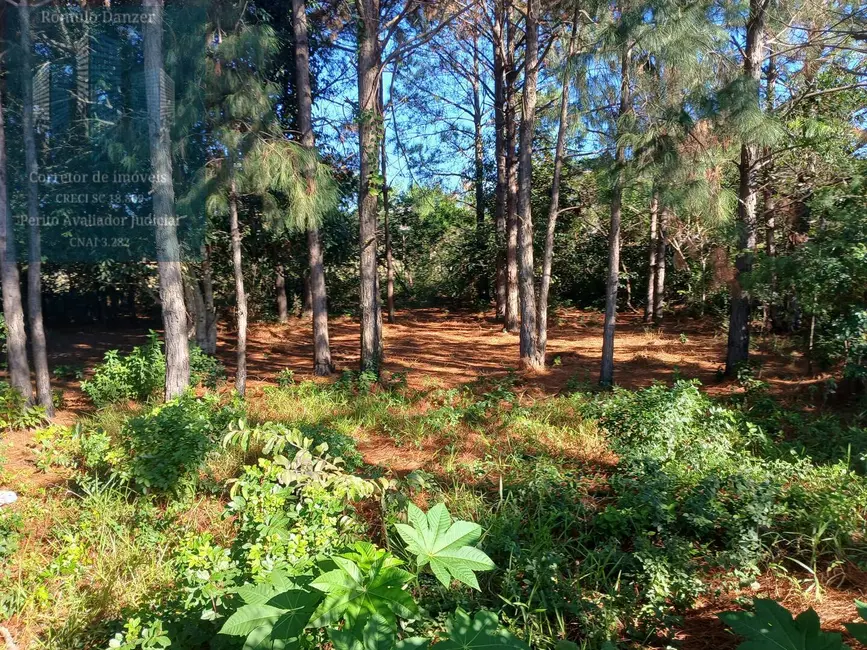 Foto 6 de Terreno / Lote à venda, 896m2 em São João do Rio Vermelho, Florianopolis - SC