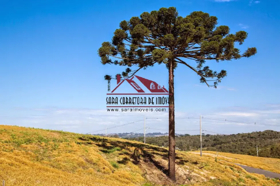 Lote de Condomínio à venda, 301m2 em Arruda, Colombo - PR - imagem 1 Foto 1 de Lote de Condomínio à venda, 301m2 em Arruda, Colombo - PR