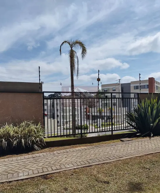 Apartamento com 2 quartos à venda, 41m2 em Tanguá, Almirante Tamandare - PR - imagem 3 Foto 3 de Apartamento com 2 quartos à venda, 41m2 em Tanguá, Almirante Tamandare - PR