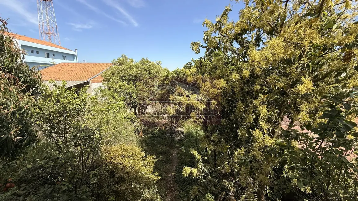 Foto 6 de Casa com 3 quartos à venda, 420m2 em Campo Pequeno, Colombo - PR