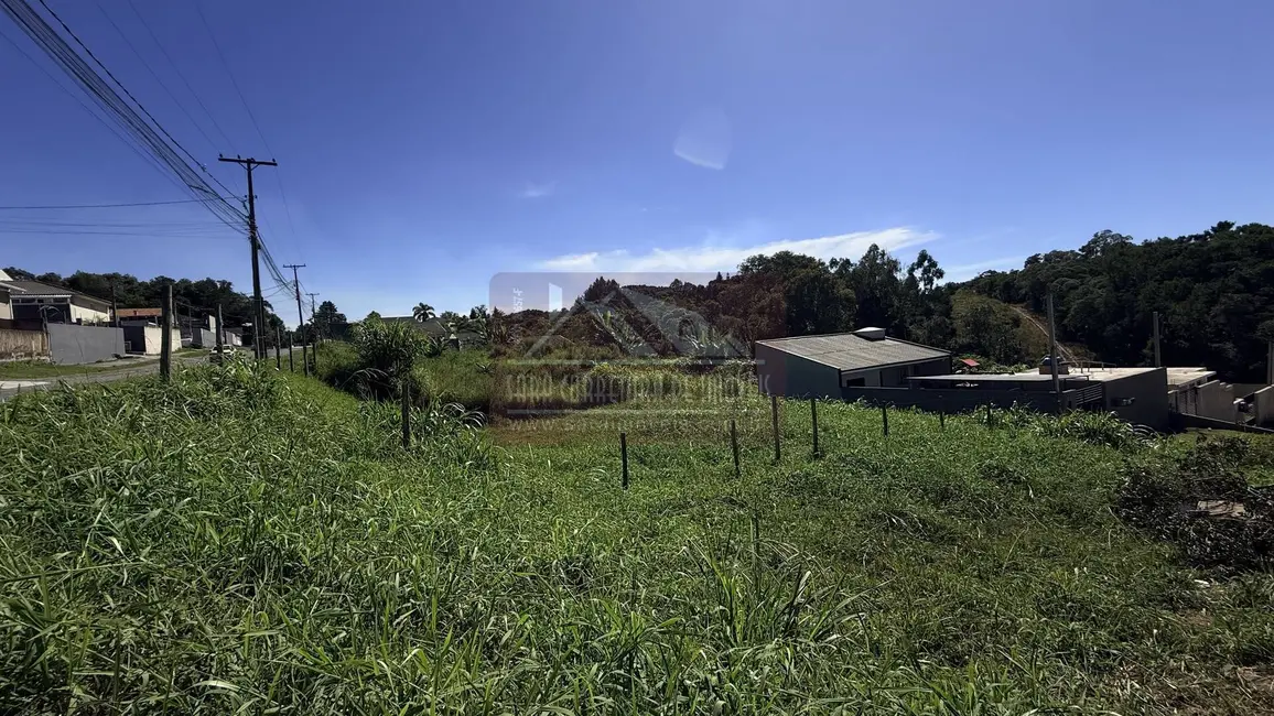 Foto 4 de Terreno / Lote à venda, 131m2 em Embu, Colombo - PR