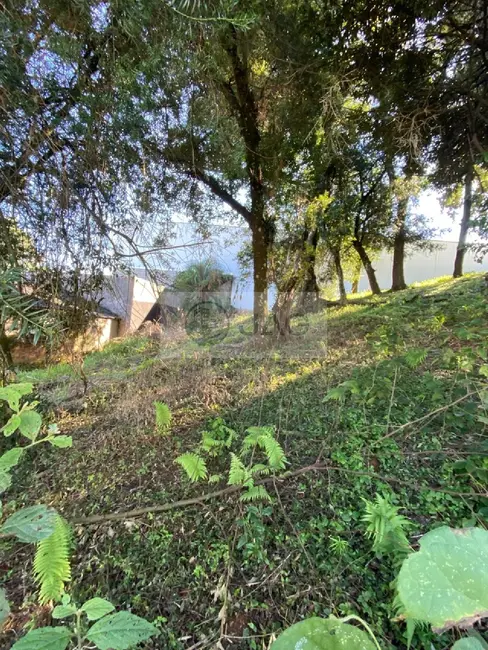 Foto 2 de Terreno / Lote à venda, 303m2 em Mossunguê, Curitiba - PR