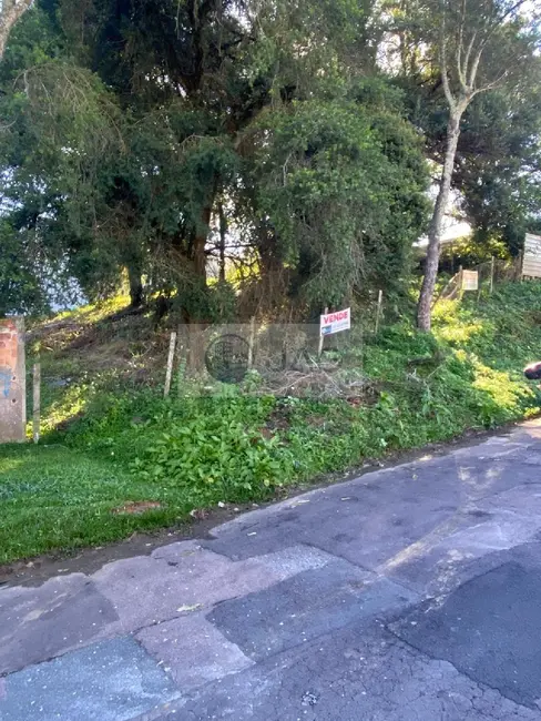 Foto 4 de Terreno / Lote à venda, 303m2 em Mossunguê, Curitiba - PR
