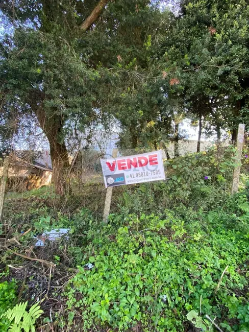 Foto 1 de Terreno / Lote à venda, 303m2 em Mossunguê, Curitiba - PR