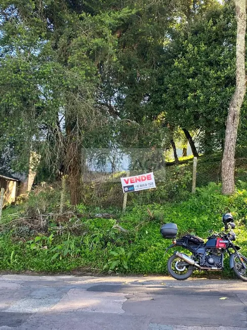 Foto 3 de Terreno / Lote à venda, 303m2 em Mossunguê, Curitiba - PR