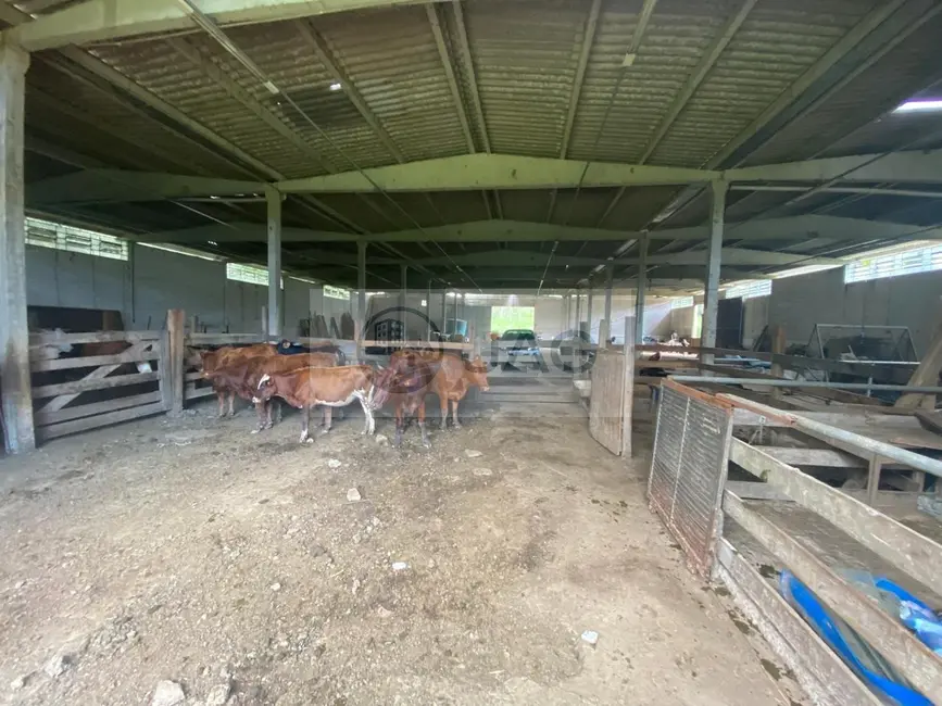 Foto 2 de Sítio / Rancho com 6 quartos à venda, 3000m2 em Campina Grande Do Sul - PR