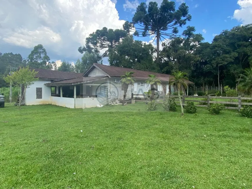 Sítio / Rancho com 6 quartos à venda, 3000m2 em Campina Grande Do Sul - PR - imagem 8 Foto 8 de Sítio / Rancho com 6 quartos à venda, 3000m2 em Campina Grande Do Sul - PR