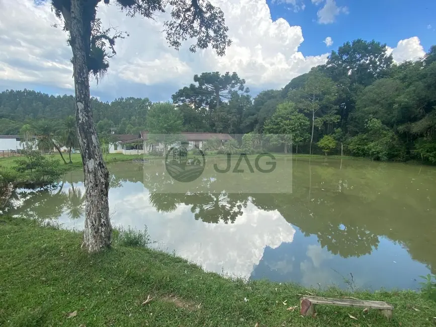 Foto 1 de Sítio / Rancho com 6 quartos à venda, 3000m2 em Campina Grande Do Sul - PR