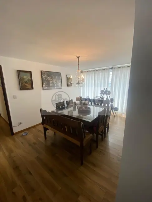 Casa com 3 quartos à venda, 208m2 em Jardim Botânico, Curitiba - PR - imagem 8 Foto 8 de Casa com 3 quartos à venda, 208m2 em Jardim Botânico, Curitiba - PR
