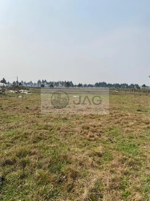 Foto 1 de Terreno / Lote à venda, 3000m2 em Planta Santa Lúcia, Piraquara - PR