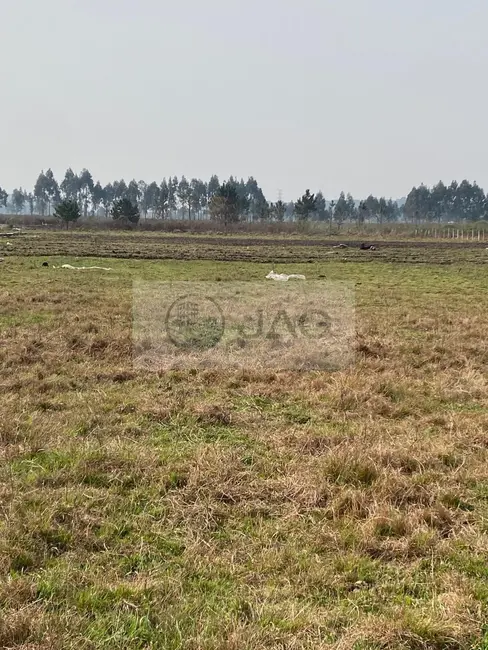 Terreno / Lote à venda, 3000m2 em Planta Santa Lúcia, Piraquara - PR - imagem 4 Foto 4 de Terreno / Lote à venda, 3000m2 em Planta Santa Lúcia, Piraquara - PR