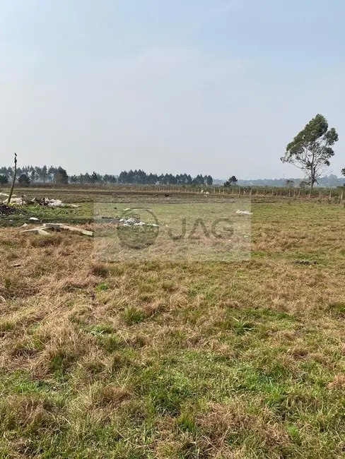 Foto 2 de Terreno / Lote à venda, 3000m2 em Planta Santa Lúcia, Piraquara - PR