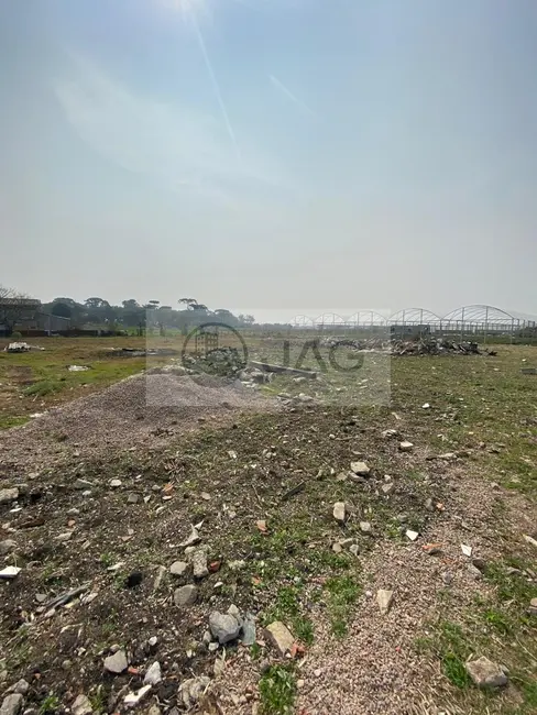 Terreno / Lote à venda, 1000m2 em Planta Santa Lúcia, Piraquara - PR - imagem 2 Foto 2 de Terreno / Lote à venda, 1000m2 em Planta Santa Lúcia, Piraquara - PR