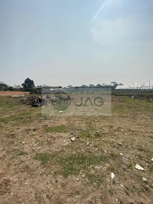 Terreno / Lote à venda, 1000m2 em Planta Santa Lúcia, Piraquara - PR - imagem 3 Foto 3 de Terreno / Lote à venda, 1000m2 em Planta Santa Lúcia, Piraquara - PR