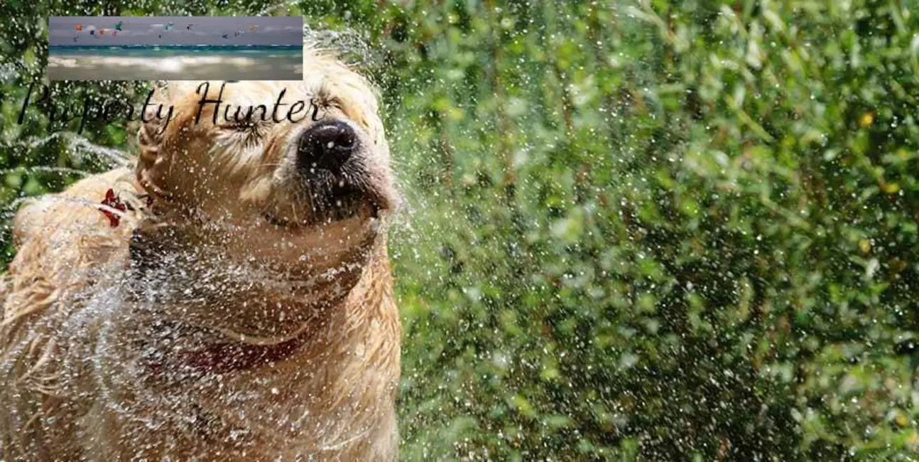 Apartamento com 3 quartos à venda, 124m2 em Aquiraz - CE - imagem 4 Foto 4 de Apartamento com 3 quartos à venda, 124m2 em Aquiraz - CE