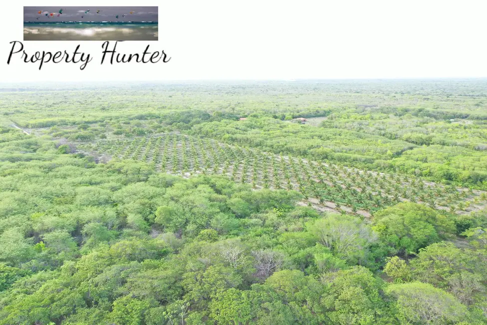 Foto 3 de Chácara com 3 quartos à venda, 170000m2 em Itapipoca - CE