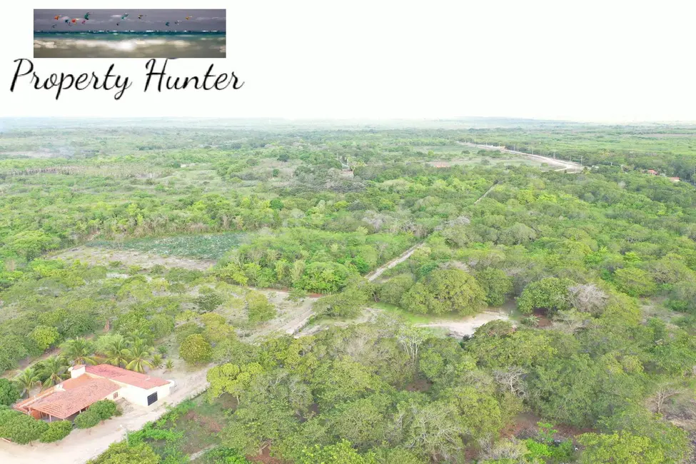 Foto 7 de Chácara com 3 quartos à venda, 170000m2 em Itapipoca - CE