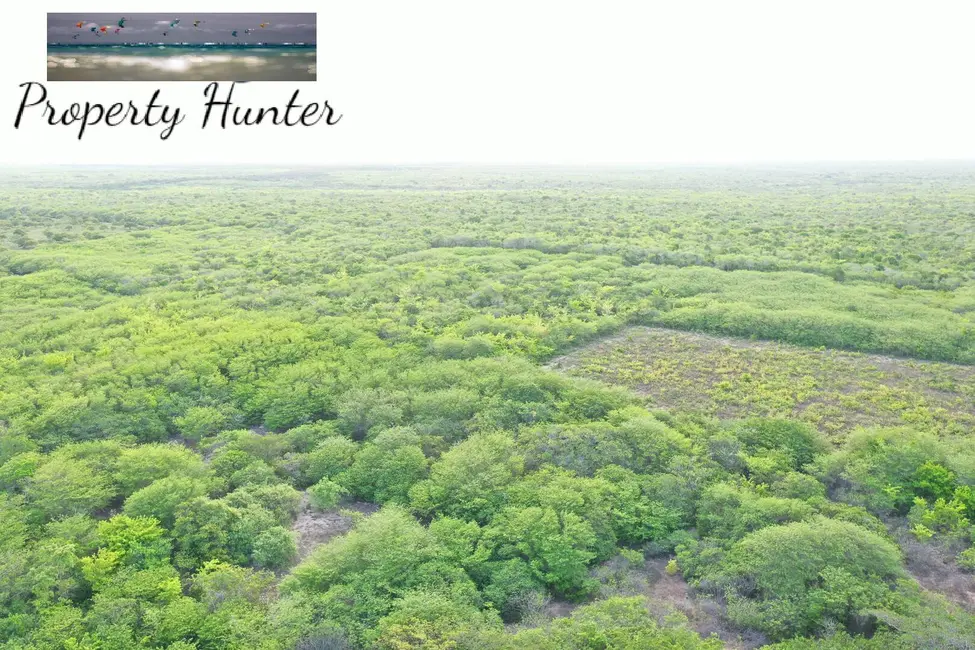 Foto 4 de Chácara com 3 quartos à venda, 170000m2 em Itapipoca - CE