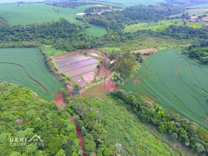 Foto 4 de Fazenda / Haras à venda, 774400m2 em Centro, Apucarana - PR