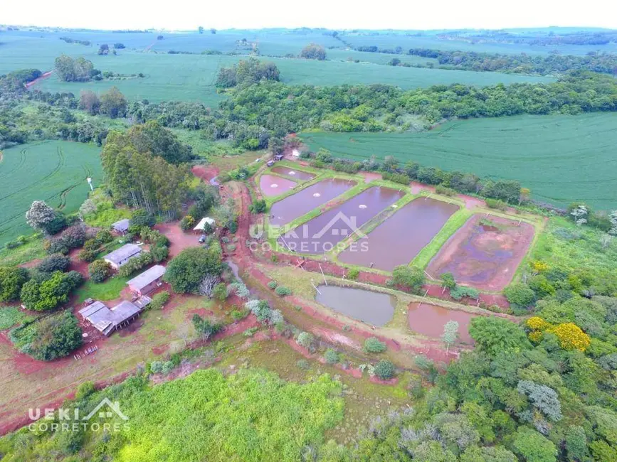 Foto 8 de Fazenda / Haras à venda, 774400m2 em Centro, Apucarana - PR