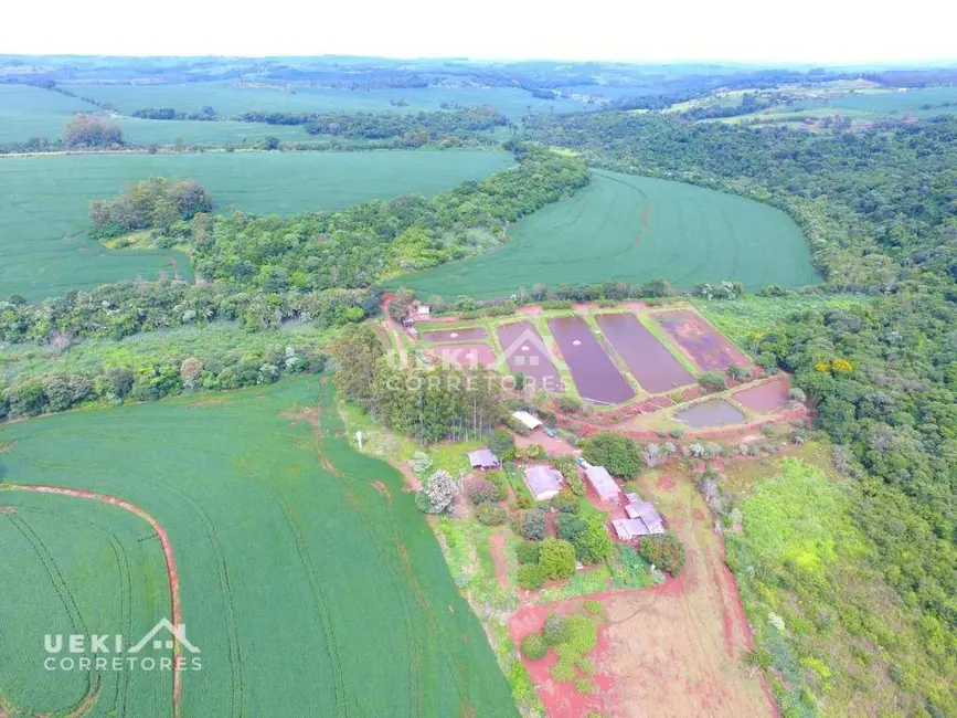 Foto 2 de Fazenda / Haras à venda, 774400m2 em Centro, Apucarana - PR