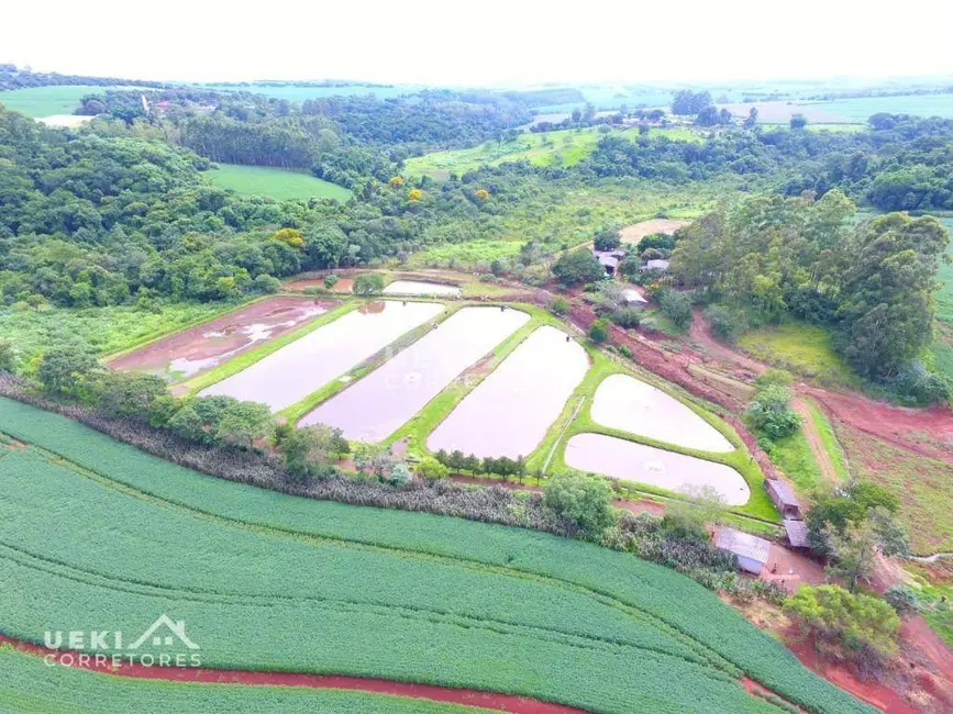 Foto 3 de Fazenda / Haras à venda, 774400m2 em Centro, Apucarana - PR
