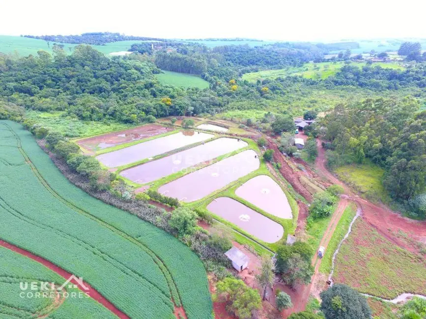 Foto 6 de Fazenda / Haras à venda, 774400m2 em Centro, Apucarana - PR