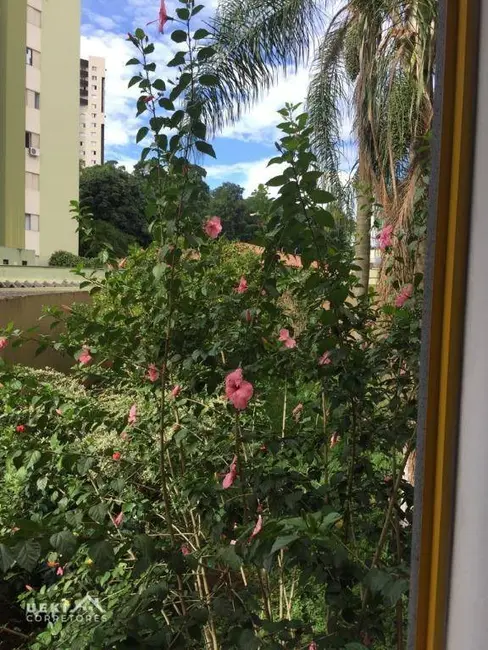 Apartamento com 3 quartos à venda, 76m2 em Parque Residencial Alcântara, Londrina - PR - imagem 6 Foto 6 de Apartamento com 3 quartos à venda, 76m2 em Parque Residencial Alcântara, Londrina - PR