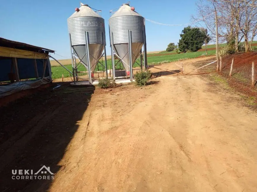 Sítio / Rancho à venda, 60500m2 em Londrina - PR - imagem 7 Foto 7 de Sítio / Rancho à venda, 60500m2 em Londrina - PR