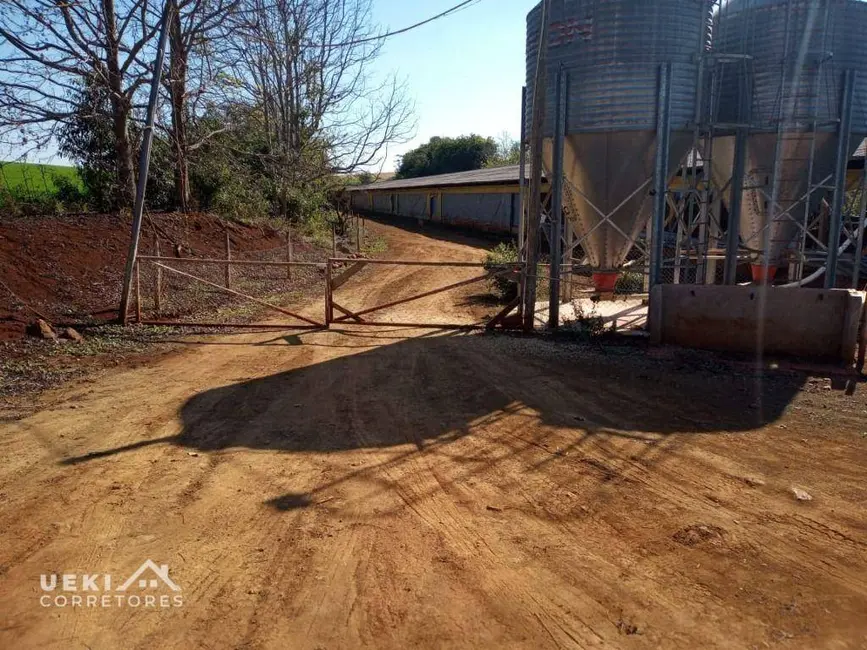 Sítio / Rancho à venda, 60500m2 em Londrina - PR - imagem 8 Foto 8 de Sítio / Rancho à venda, 60500m2 em Londrina - PR