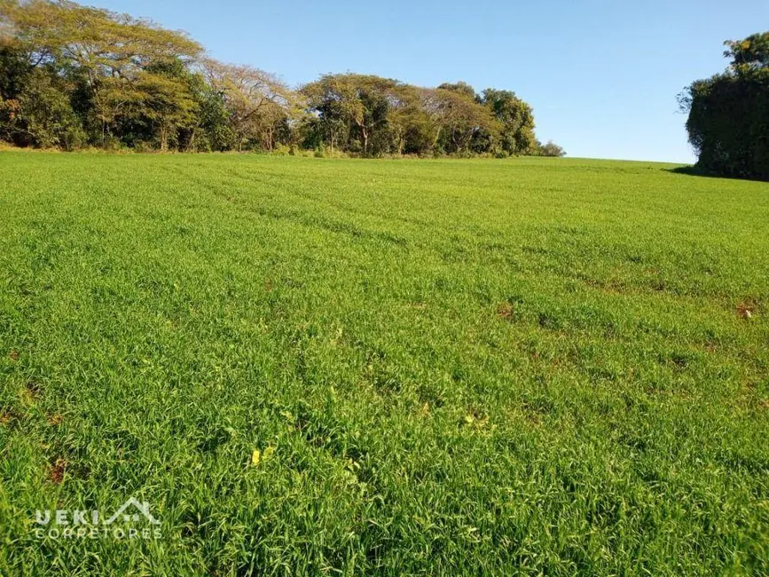 Sítio / Rancho à venda, 60500m2 em Londrina - PR - imagem 4 Foto 4 de Sítio / Rancho à venda, 60500m2 em Londrina - PR