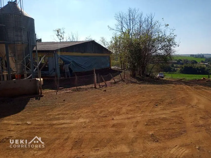 Sítio / Rancho à venda, 60500m2 em Londrina - PR - imagem 9 Foto 9 de Sítio / Rancho à venda, 60500m2 em Londrina - PR