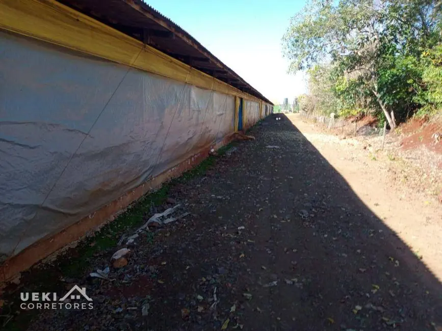 Sítio / Rancho à venda, 60500m2 em Londrina - PR - imagem 5 Foto 5 de Sítio / Rancho à venda, 60500m2 em Londrina - PR