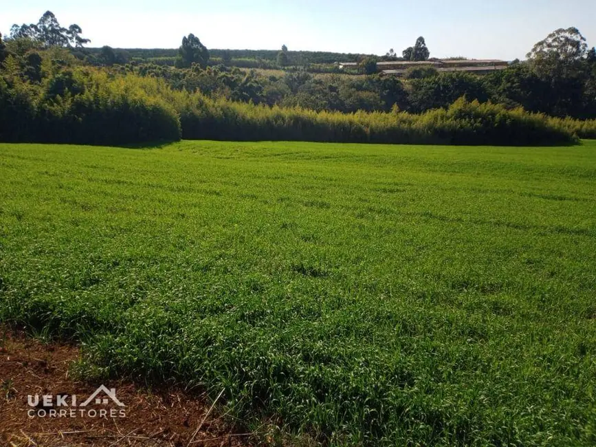 Sítio / Rancho à venda, 60500m2 em Londrina - PR - imagem 3 Foto 3 de Sítio / Rancho à venda, 60500m2 em Londrina - PR